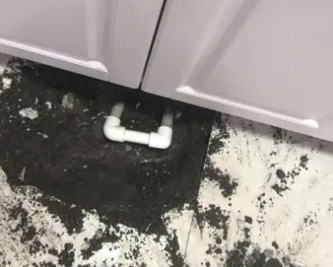 永川查漏水哪家好